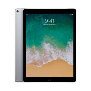 IPAD PRO 10.5" 1ST 256GB CELL