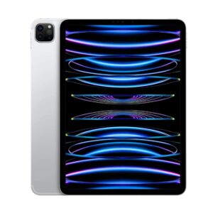 APPLE IPAD PRO 11" 4TH M2 256GB CELL